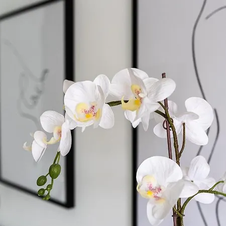 Apartment River 9 And View Porto Gaia By Mp Vila Nova de Gaia