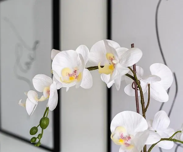 Apartman River 9 And View Porto Gaia By Mp Vila Nova de Gaia